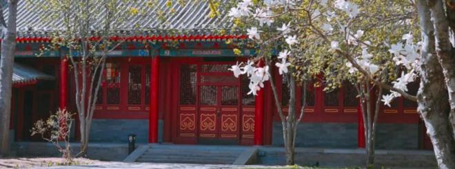 和马筱梅的婚礼太潦草四合院布置简陋OG真人游戏汪小菲二婚穿高跟皮鞋他(图5)